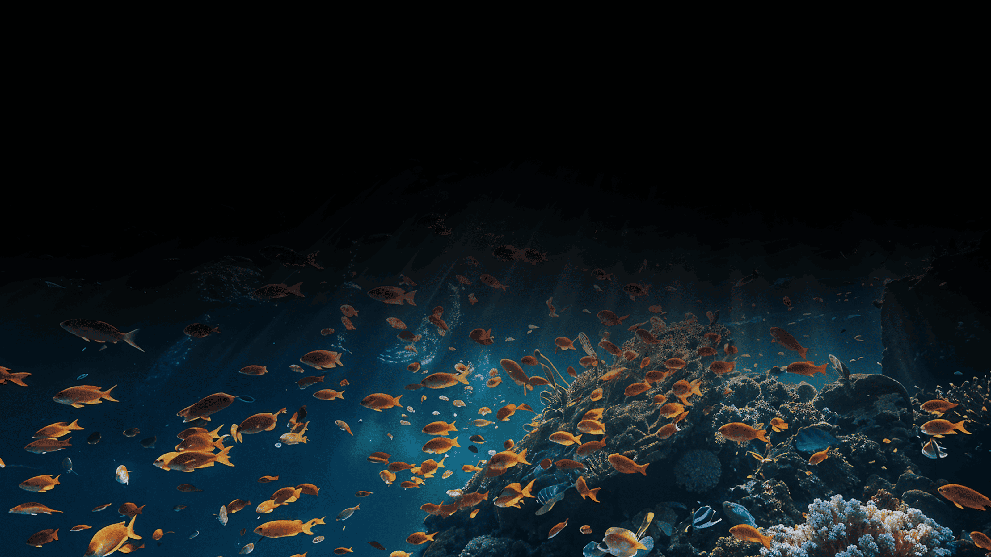 Packed tropical fish awaiting air freight departure