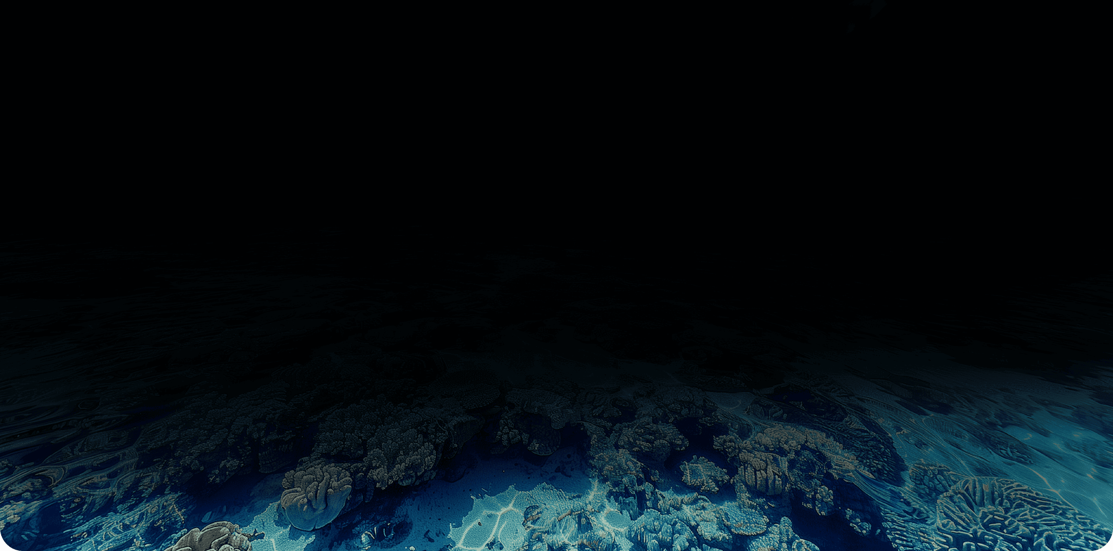 Tropical waters of the Indonesian archipelago, natural habitat of our fish